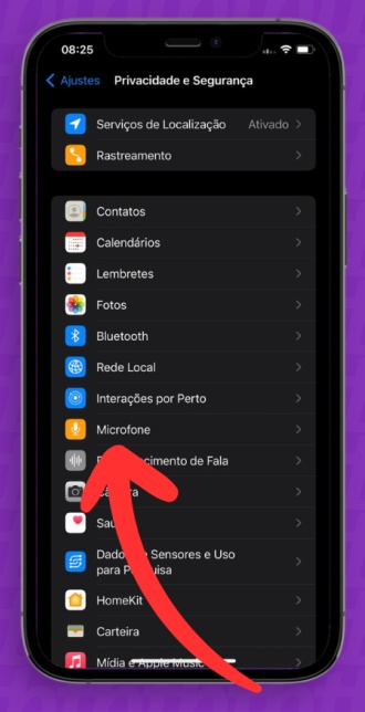iPhone: opção Microfone destacada